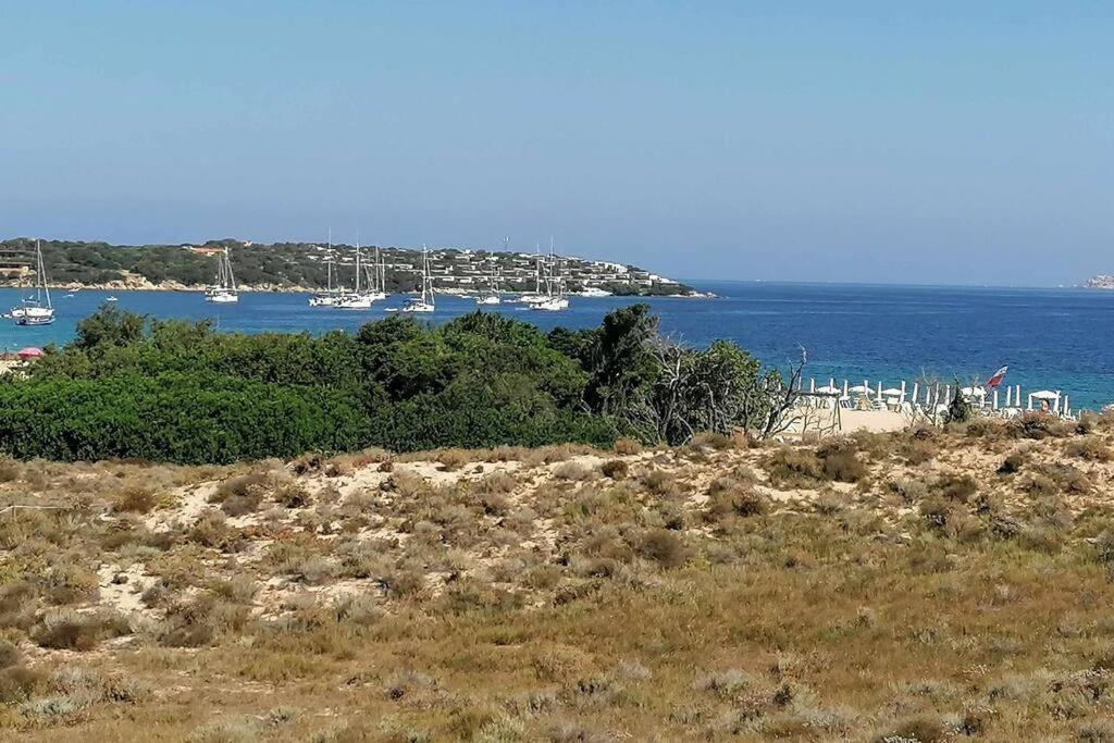 Casa Di Lu' - Bilocale Con Giardino - * Porto Pollo